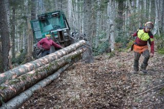 Florian Mathieu, bûcheron, tire le câble du tracteur débardeur pour accrocher un tronc. Chantier à Châtel en Trièves, Isère