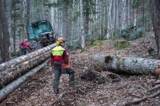 Eric Messa et Florian Mathieu bûcherons et débardeurs isérois. Chantier à Châtel en Trièves