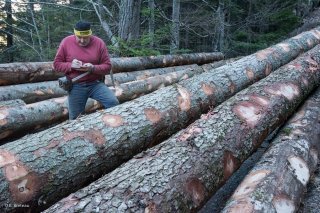 Eric Messa, bûcheron et débardeur, note le cubage des grumes. Chantier à Châtel en Trièves