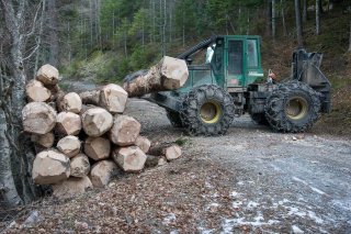 Eric Messa, bûcheron et débardeur, empile les grumes. Chantier à Châtel en Trièves