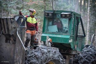 Eric Messa et Florian Mathieu, bûcherons et débardeurs isérois. Chantier à Châtel en Trièves