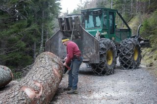 Eric Messa, bûcheron et débardeur, mesure le cubage d'une grume. Chantier à Châtel en Trièves