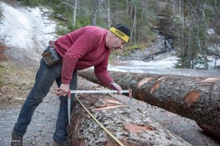 Eric Messa, bûcheron et débardeur, mesure le cubage d'une grume. Chantier à Châtel en Trièves