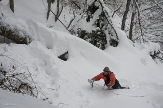 Approche pour l'accrochage de la grume