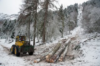 La tranchée de la ligne de câble