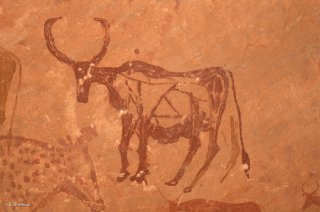 Peinture rupestre dans un abri sous roche, représentation de bovins