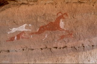 Peinture rupestre dans un abri sous roche, un animal est pousuivi par des chiens