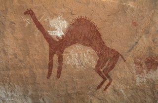 Peinture rupestre dans un abri sous roche, représentation d'un chameau avec son chamelier