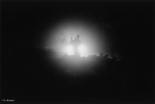 Transhumance des frères Menut. Marche de nuit. Alpes de Haute Provence