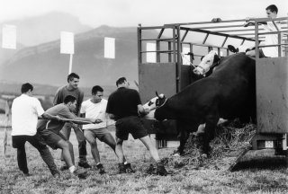 Comice agricole à Prébois