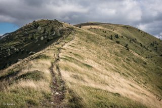 Le plateau et sommet du Châtel