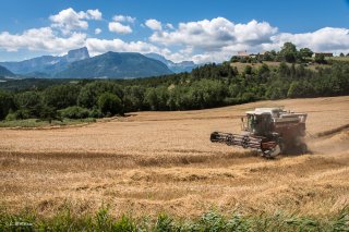 Moissons à Lavars avec le mont Aiguille au loin