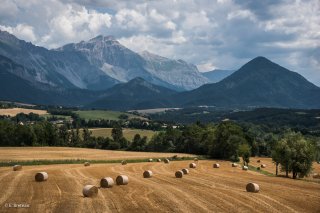 Environs de Mens. Rouleaux de paille devant le Grand Ferrand et le Ménil