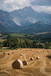 Environs de Mens, rouleaux de paille devant le Grand Ferrand