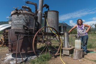 Plantamarine, distillation de plantes aromatiques et médicinales à Monestier du Percy