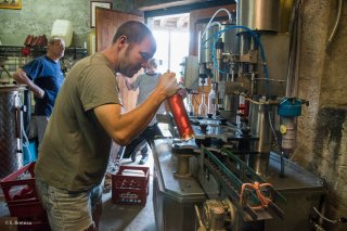 Le vin du Trièves. Mise en bouteille à la cave de Prébois