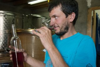 Le vin du Trièves. Jour de mise en bouteille à la cave de Prébois