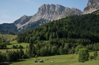 Les foins devant le Grand Veymont à Gresse en Vercors