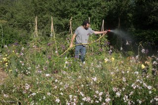 Jardins du centre écologique Terre Vivante à Mens