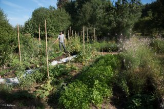 Jardins du centre écologique Terre Vivante à Mens