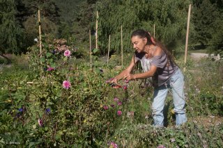 Jardins du centre écologique Terre Vivante à Mens