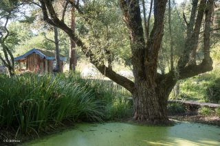 Jardins du centre écologique Terre Vivante à Mens