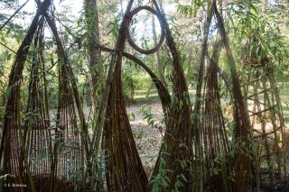 Bambouseraie du centre écologique Terre Vivante à Mens