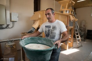 Le Moulin du Vieux Chêne, culture des céréales et fabrication de la farine à Lavars