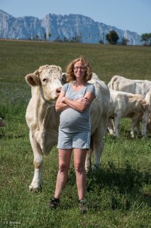 GAEC du Champs fleuri à Sinard, élevage de boeufs et veaux charolais