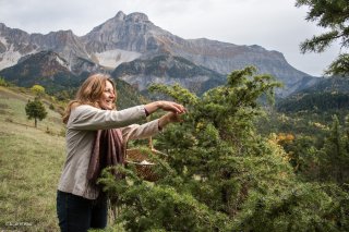 La Plume et l'Oiseau, avec Valérie, productrice de tisanes et de produits cosmétiques