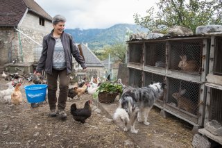 Dans la basse court du Cris-Cath, ferme auberge à Tréminis