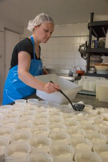 Chèvrerie de Saint-Guillaume, avec Chloé Quoy éleveuse et fromagère