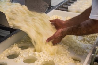 Fromagerie du Mont-Aiguille à Clelles