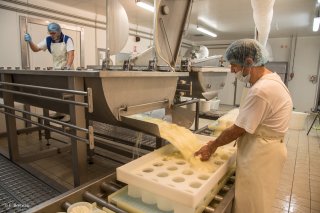 Fromagerie du Mont-Aiguille à Clelles