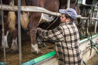 GAEC le Petit Monétéron à Monestier de Clermont, transformation produits laitiers