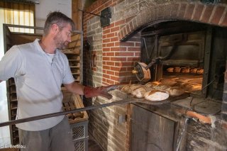 Sébastien Maubleu paysan boulanger fabrique son pain à Sinard