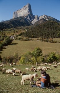 Berger au pied du mont Aiguille